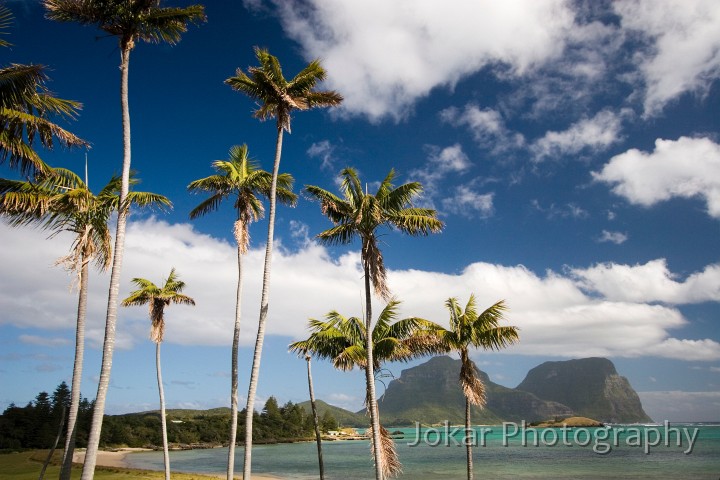 Lord Howe Island_20061209_180.jpg